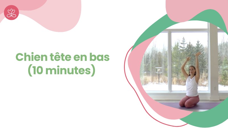 Jour 17 - Chien tête en bas (10 minutes)